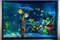 Veranstaltungsbild SEA LIFE Hannover